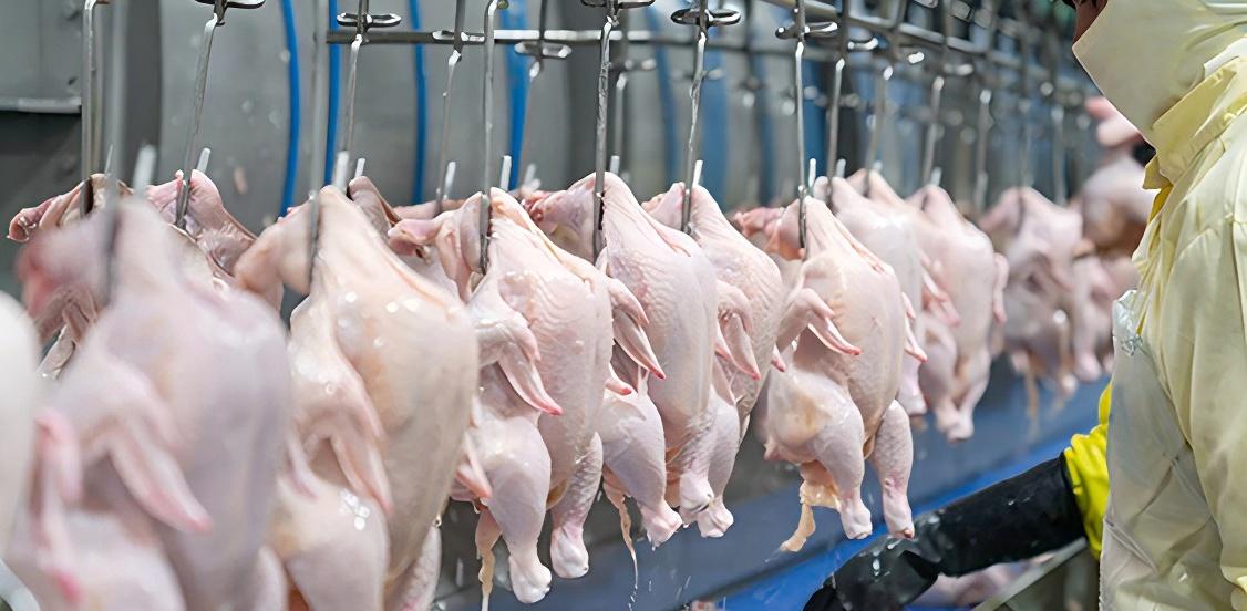 NaHSO4 for Poultry Processing Disinfection